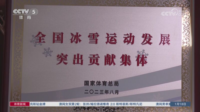 国际影响力