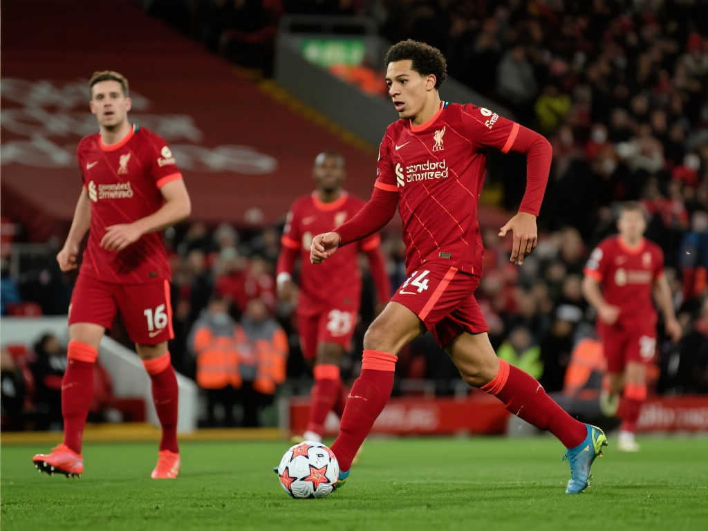 历史意义 历史意义